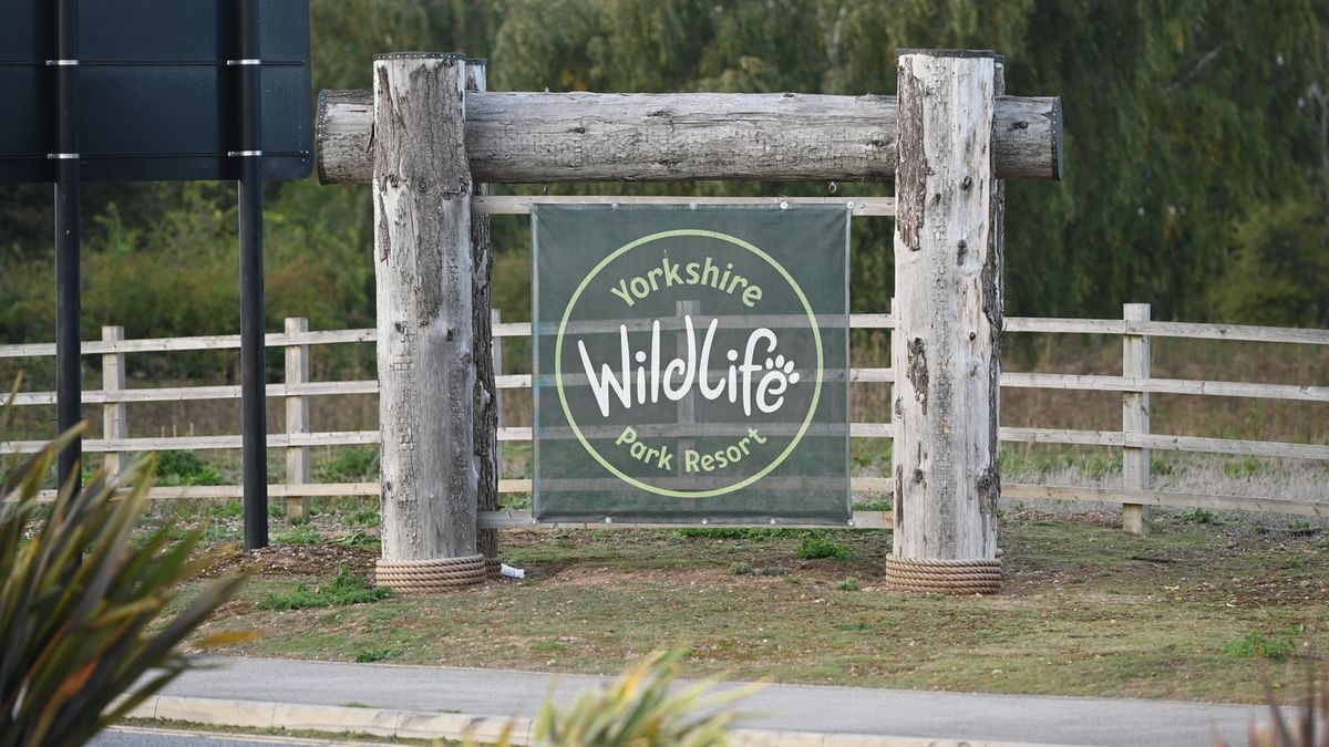 Yorkshire Wildlife Park makes urgent appeal as it reopens after tiger tragedy