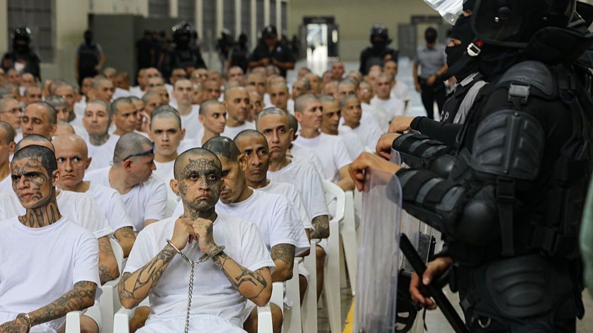 The Inhumane CECOT Rules Behind Trump’s US Citizen Prison Debate