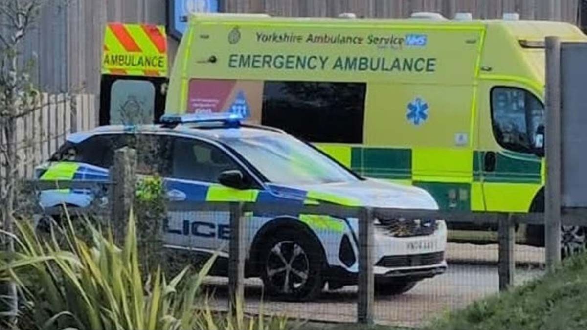 Yorkshire Wildlife Park tragedy: Police clarify what happened to the tiger
