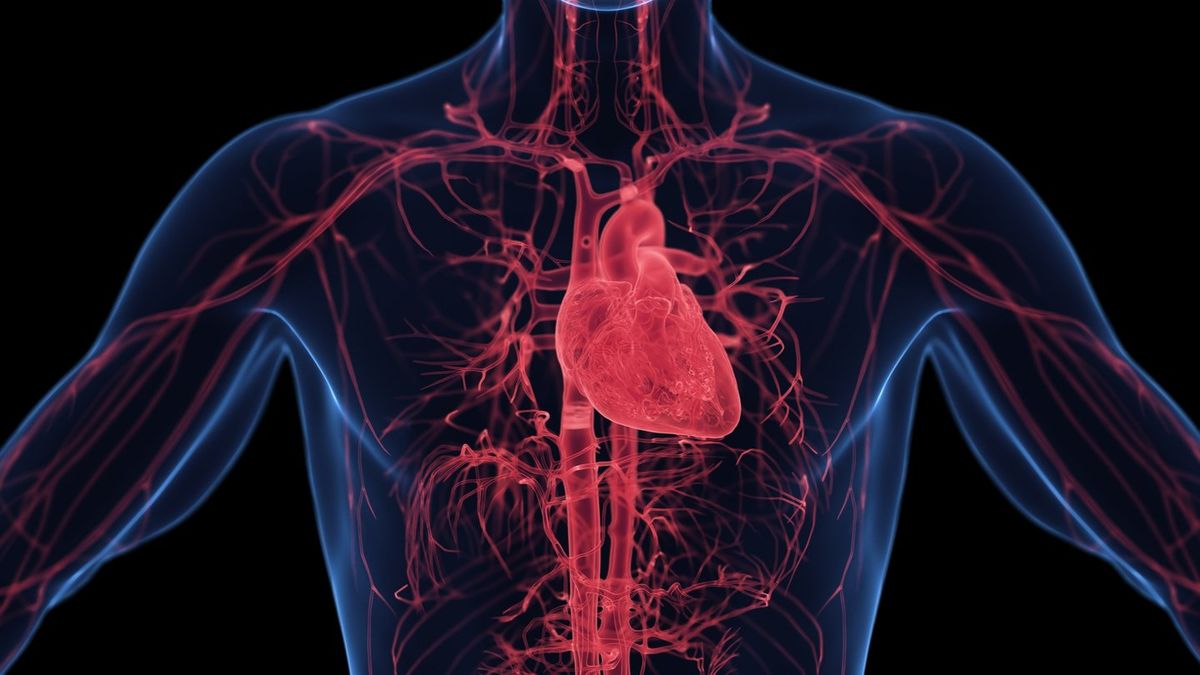 Dr Jeremy London Reveals the Habit Damaging Nearly Every Organ